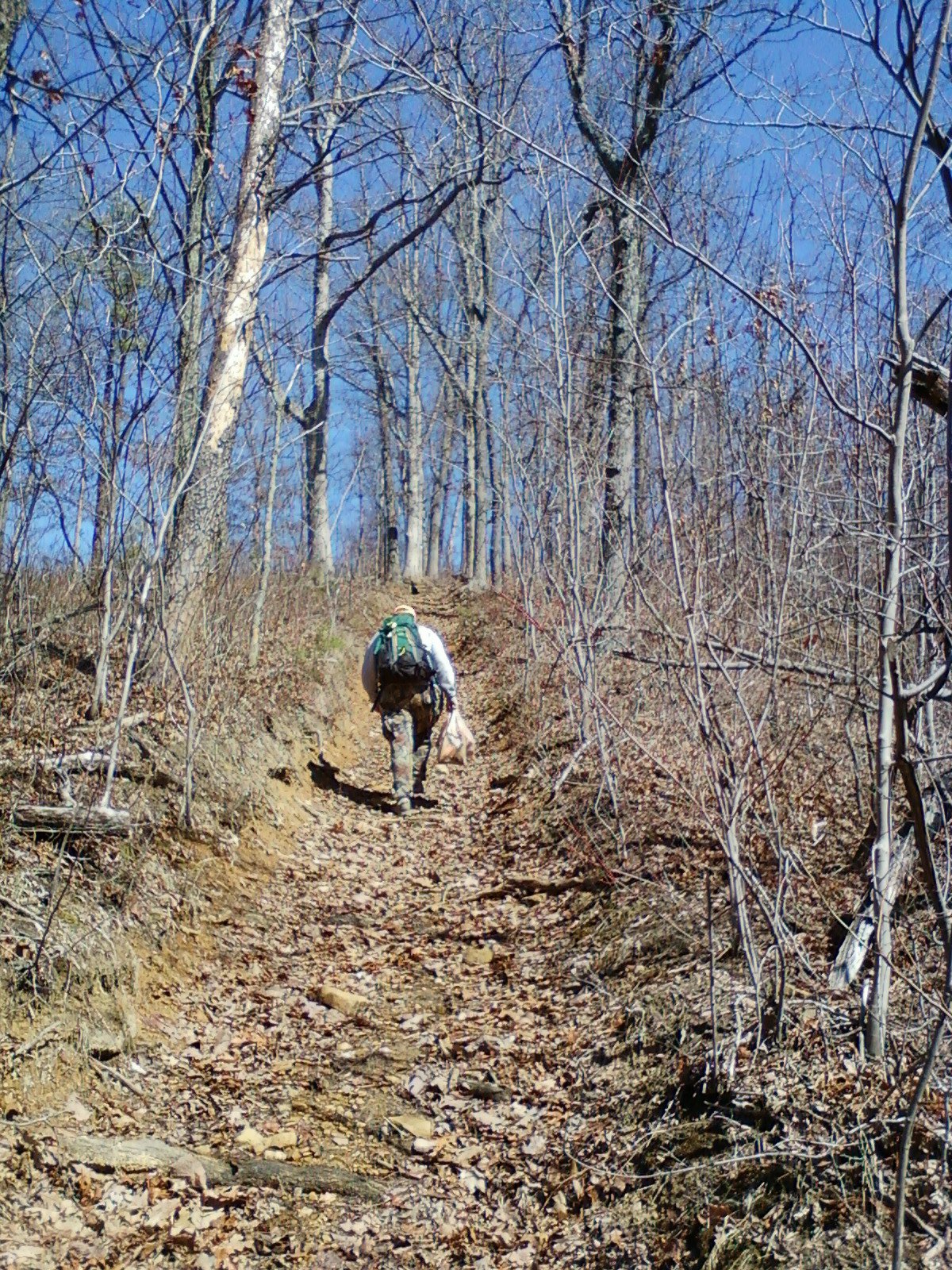 Clearing The Path Resurrecting The Jenny Wiley Trail